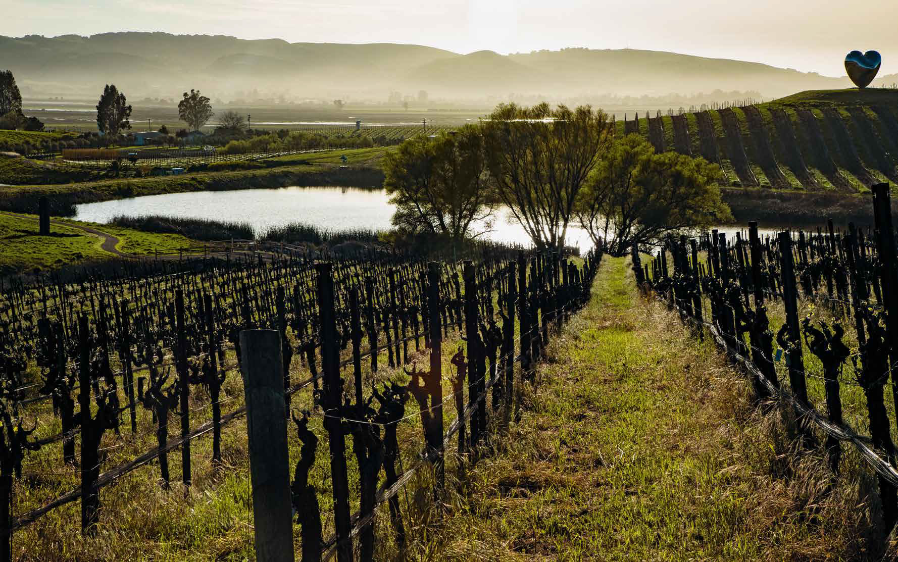 The Donum Estate